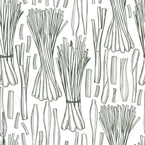 Hand drawn  lemongrass .   Vector  seamless pattern.
