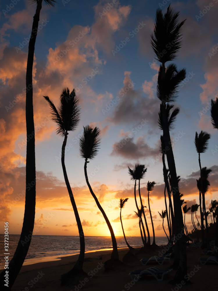 A Dominican Republic sunrise showing the beach and palm trees with lovely warm cloud effect.