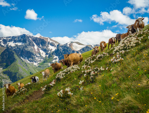 Karachay Cherkes Republic, Russia photo