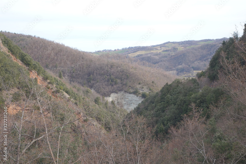 Naklejka premium Bosco