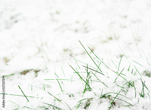Green grass covered in fresh layer of snow, copy space © AB Photography