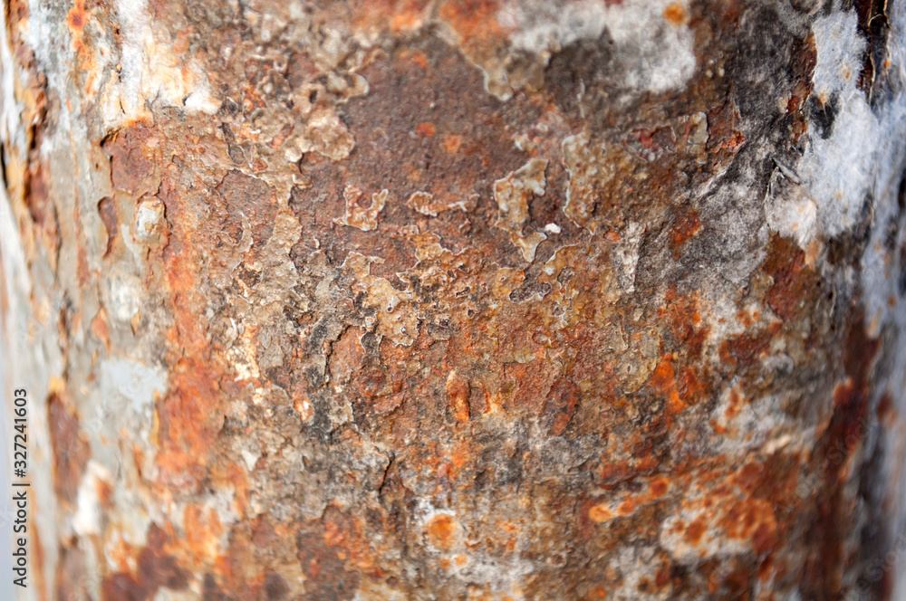 rough rust on the iron pillar rough rust on the iron pillar