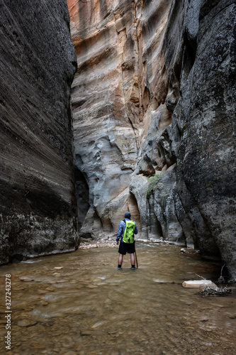 Man With Green Backpack Looks Into The Narrows