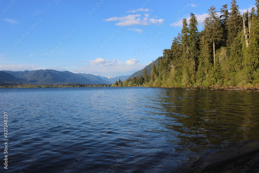 Fototapeta premium Pine Lake