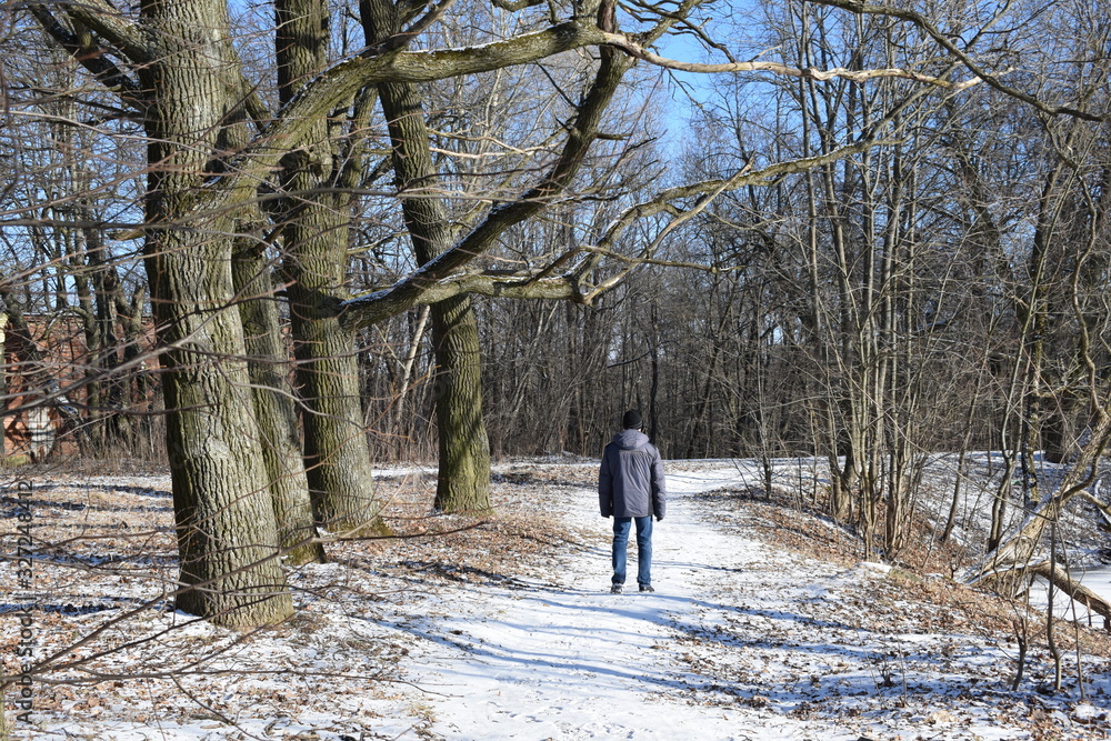 walking in winter forest walking in winter forest