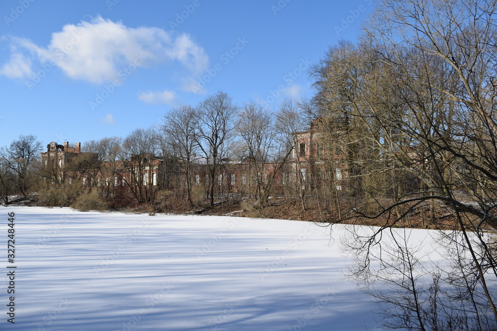 Fototapeta premium winter rural landscape with a river and trees