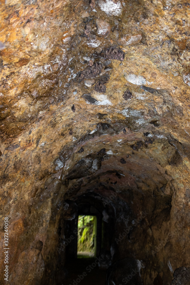 Hidden Water Tunnel Full of Bats in Jardin, Antioquia /Colombia