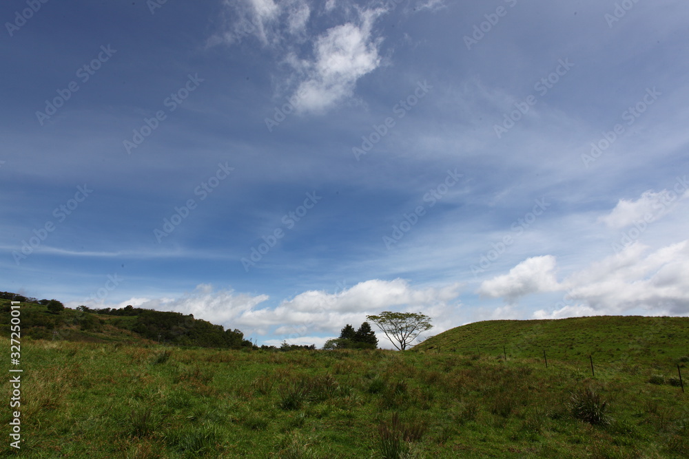 Fototapeta premium 高原の牧場と初秋の空