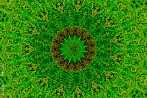 Abstract green and brown multi point circle for background.