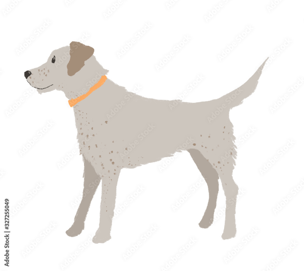 Illustration of standing dog isolated on white background. Illustration of standing dog isolated on white background.