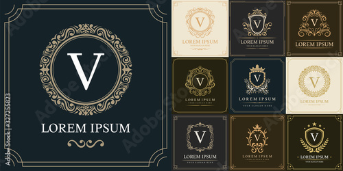 Set of luxury logo template, Initial letter type V, vector illustration