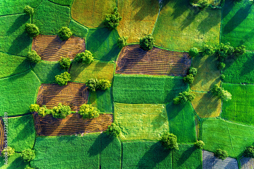 aerial view of rice fields in Mekong Delta, Tri Ton town, An Giang province, ...