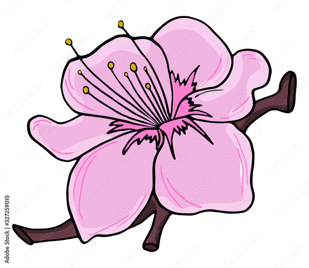 Hand drawn cherry branches with colorful flowers. Sakura plant silhouette on a white background Hand drawn cherry branches with colorful flowers. Sakura plant silhouette on a white background