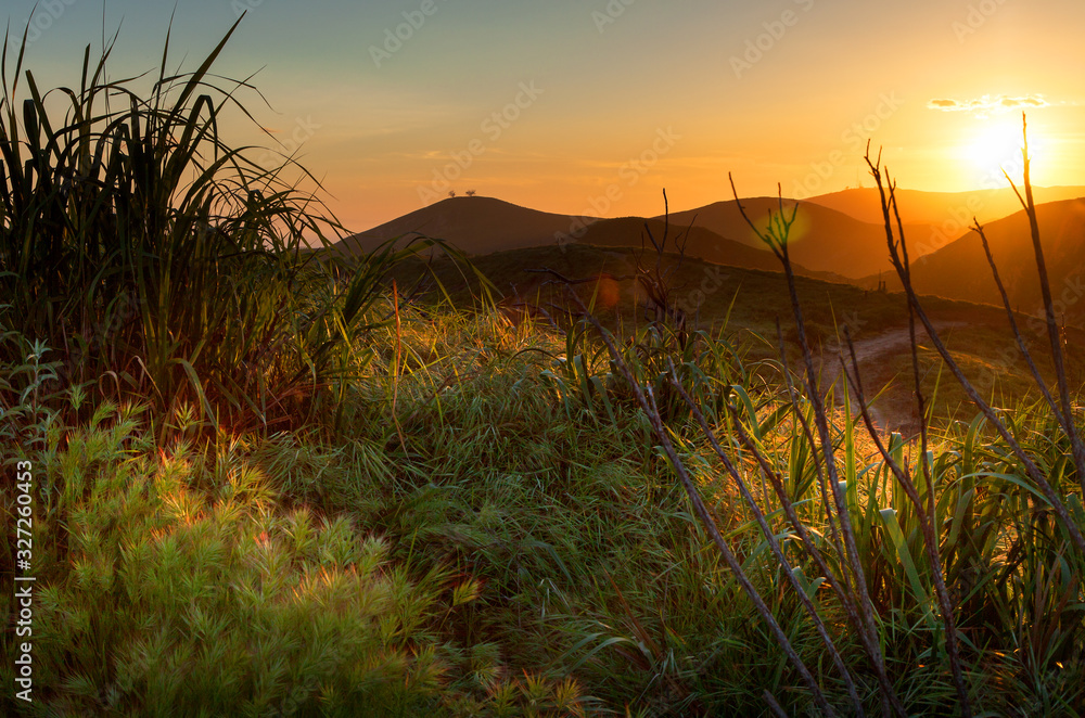 Golden Sunset over Ventura Hillsides with Two Trees Golden Sunset over Ventura Hillsides with Two Trees