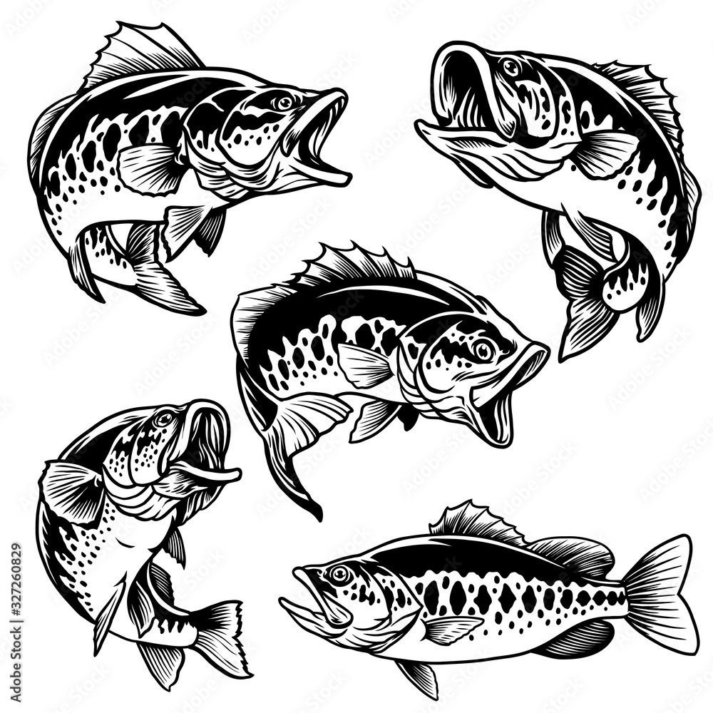 set of black and white of largemouth bass fish - obrazy, fototapety, plakaty 