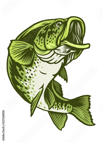 largemouth bass fish photo