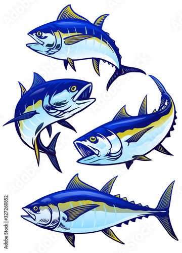 set of tuna fish in colors version