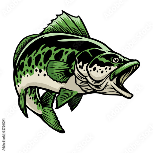 big largemouth bass fish