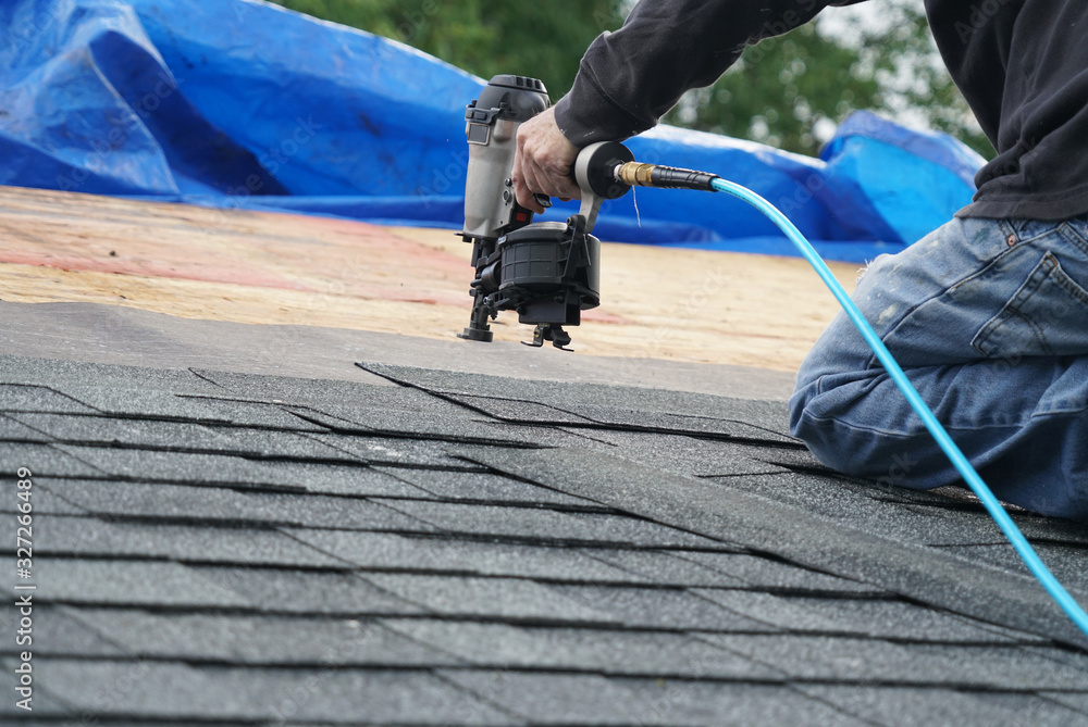 handyman using nail gun to install shingle to repair roof Photos