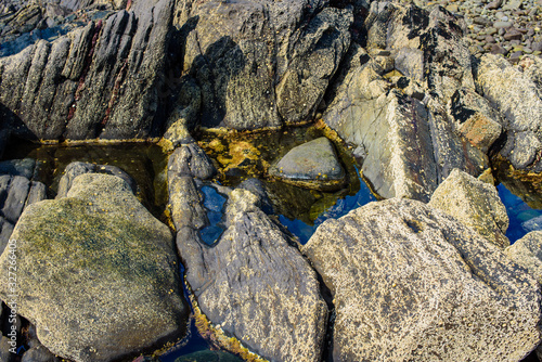 Picturesque surface of turbidites on the northern coast of Spain near the village of Armintza. Basque Country. Northern spain photo