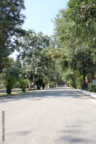 road in the park