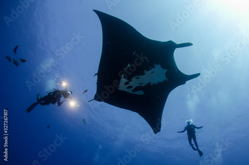 фотографія Manta ray at revillagigedo archipelago, Mexico.