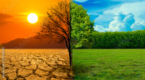 The screen separates the drought and the complete forest where the wildlife is living. Global warming concept