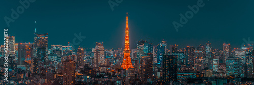 Night view of TOKYO JAPAN © 拓也 神崎