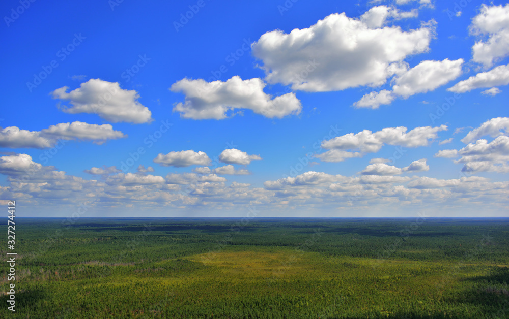 View of the taiga from a height