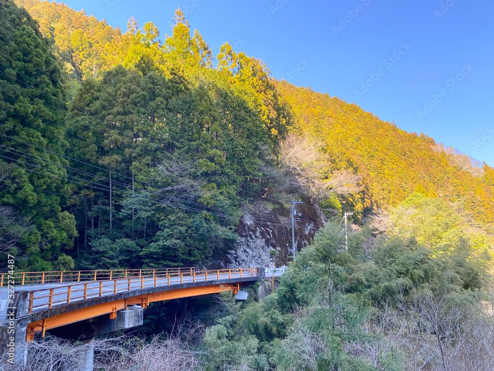Fototapeta premium Japanese mountain and orange bridge.