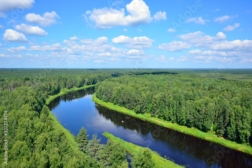 View of the taiga from a height