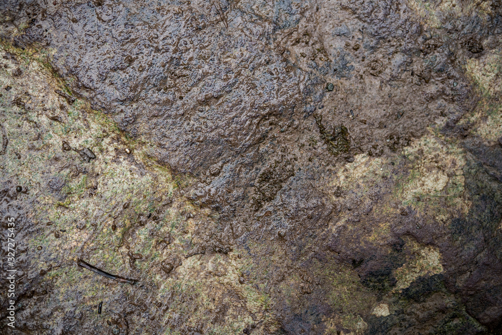 Texture of wet stone covered with moss. Background image of macro photography texture stone