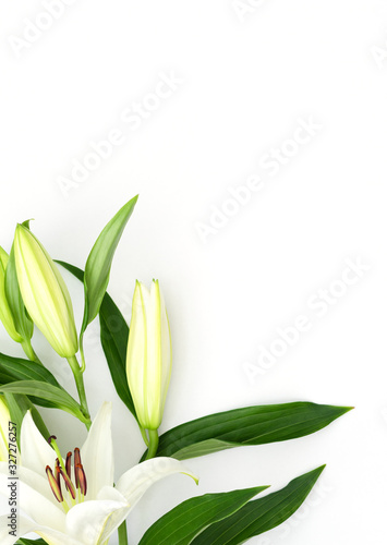 Beautiful blooming lily flower on white background. Spring and beauty concept. Greeting  invitation card. Flat lay  top view style with copy space for your text.