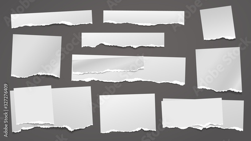 Torn white grainy note, notebook paper strips, pieces stuck on grey squared background. Vector illustration