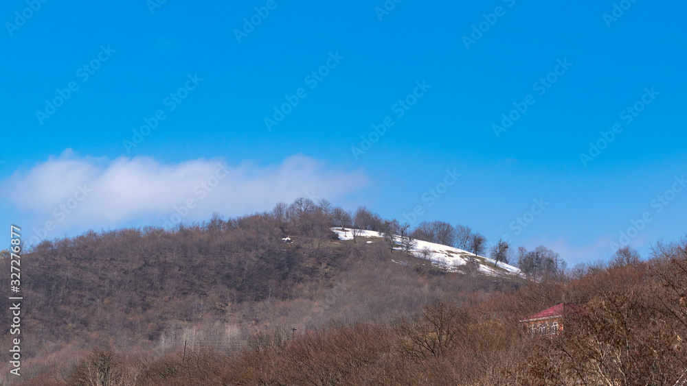 Bare forest on slope of snow capped mountains