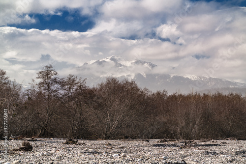 Bare trees against of snow capped mountains
