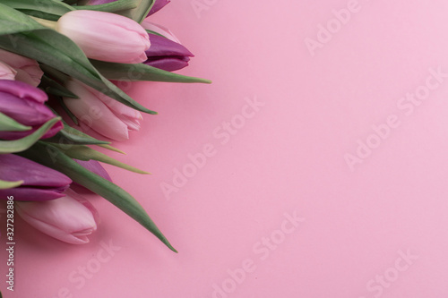 Fototapeta Naklejka Na Ścianę i Meble -  a bouquet of fresh fragrant pink tulips and a gift for women's day on a pink background. Mother's day greetings
