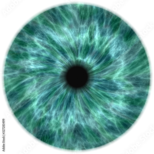  human eye iris