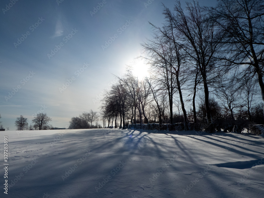 Winterlandschaft mit Eifelhecken Winterlandschaft mit Eifelhecken