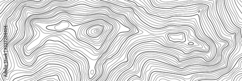 Imitation of a geographical map, black lines on white background, vector design	