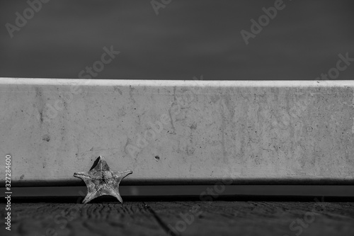 a lonely sea star with monochrome photostyle photo