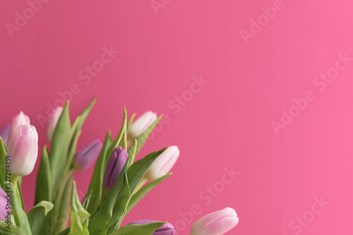 Fototapeta Naklejka Na Ścianę i Meble -  bouquet of pink and purple tulips in a vase on pink background, spring flowers for women, copy space