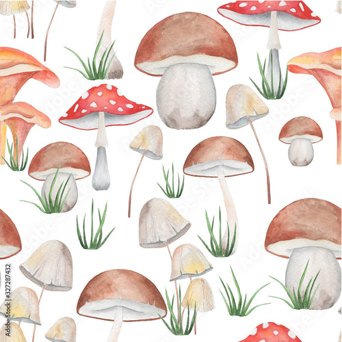 seamless pattern, watercolor illustration, drawings of watercolor mushrooms