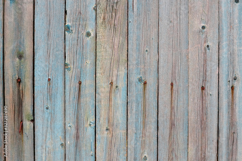 Part of an old fence with paint residues on dry wooden boards. Old nails left rust on wood. Grunge wooden fence wall background texture and place for text