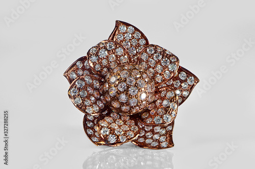 Gold & Gemstones flower shape earring isolated-