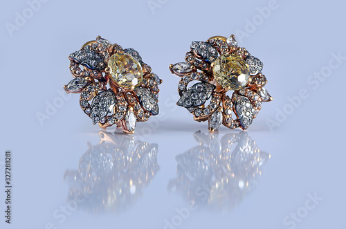 Gold & Gemstones flower shape earrings isolated-