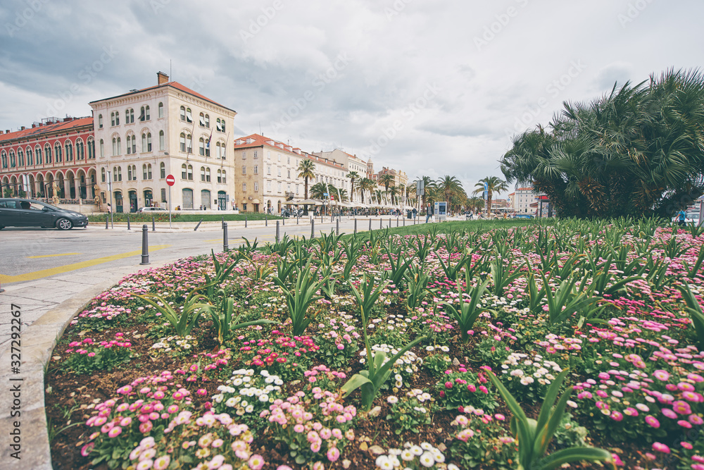 Flowerbed garden in downtown of Croatia.