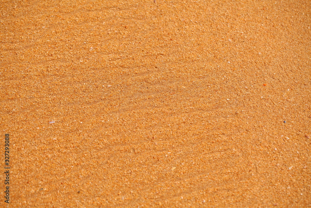 foam on sandy tropical ocean beach foam on sandy tropical ocean beach