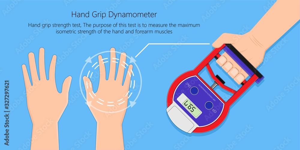 Handgrip Muscle Strength Scale Dynamometer Testing measure therapist