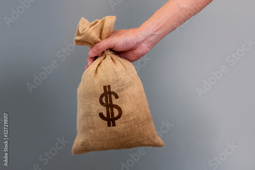 hand holding canvas money bag